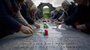 tillkicdihnezimvezpap